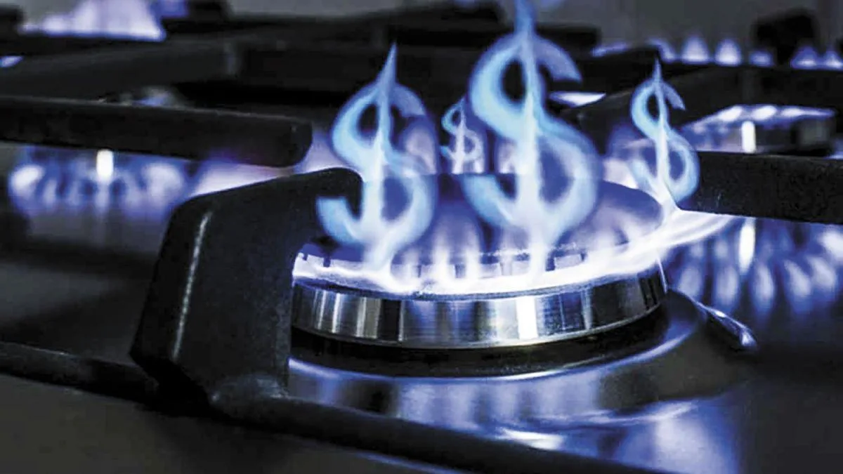 Cámara de Diputados aprobó recorte del subsidio al gas en Zonas Frías y provoca críticas