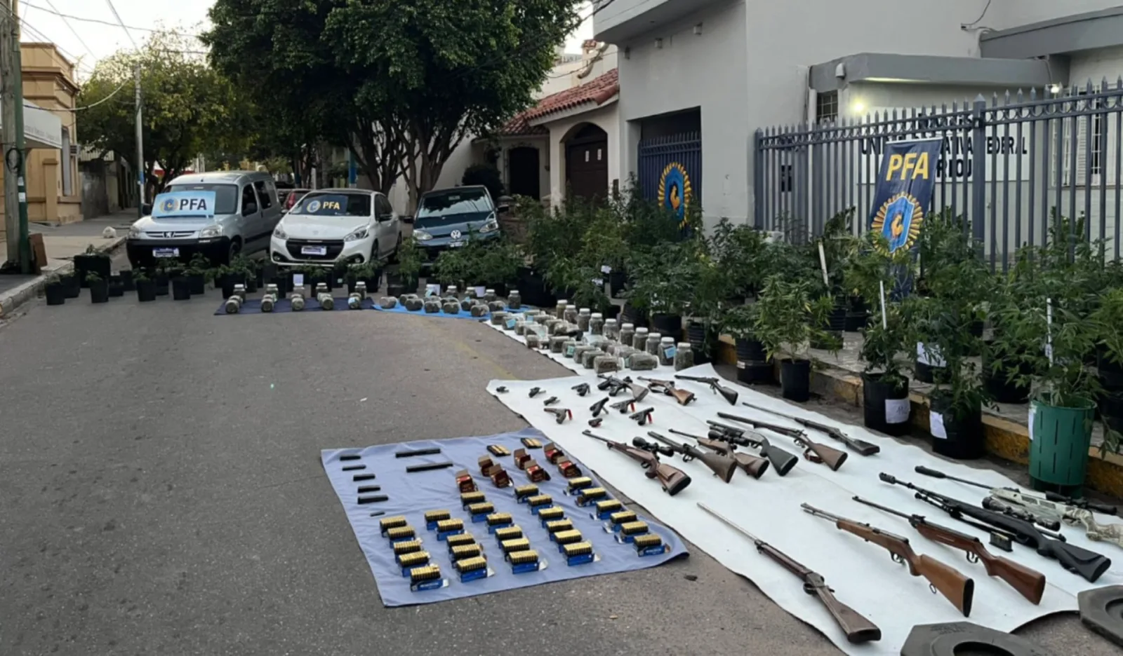 Desbaratan banda narco que cultivaba marihuana en un campo de La Rioja