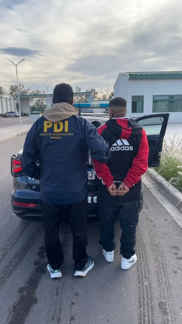 Detuvieron al conductor acusado de matar a un peatón tras un choque y fuga en Las Heras