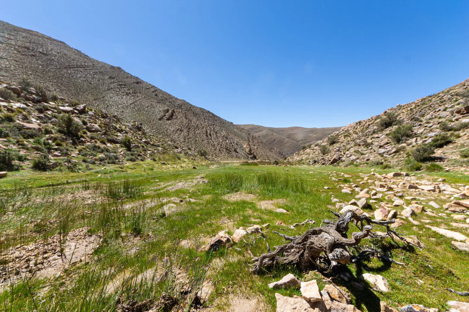 Diagnóstico y avances en la conservación de los humedales de la Reserva Natural Villavicencio