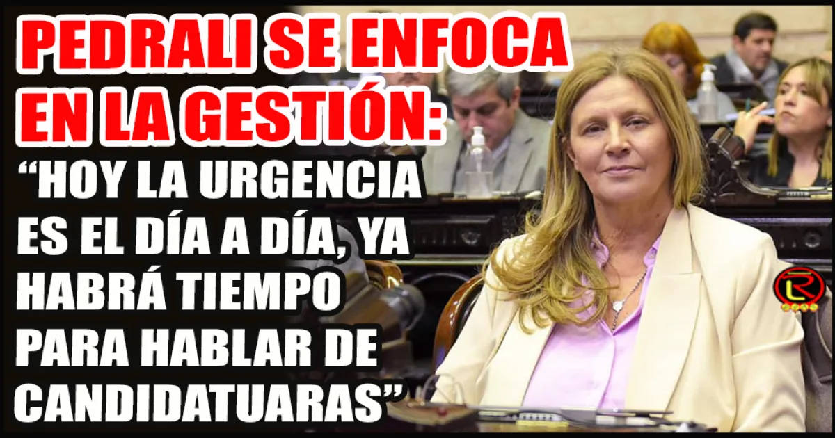 Diputada Pedrali reclama un proyecto federal urgente para resolver la crisis energética y social
