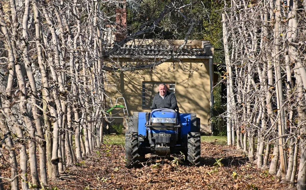 Eduardo Artero mantiene viva una chacra centenaria de fruta en la Patagonia