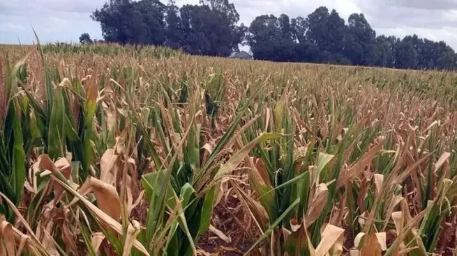 El Gobierno declaró emergencia agropecuaria en Chubut, Santa Cruz y Mendoza por fenómenos climáticos