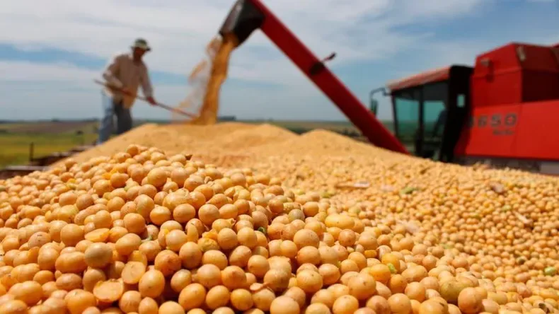 El mercado de soja anticipa descenso en retenciones antes de su confirmación oficial
