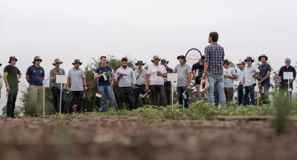 Multinacional alemana Helm se retira tras más de dos décadas en el mercado agro argentino