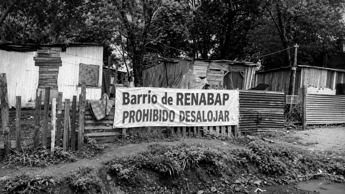 Nueva ley busca flexibilizar límites a la extranjerización y concentración de tierras rurales