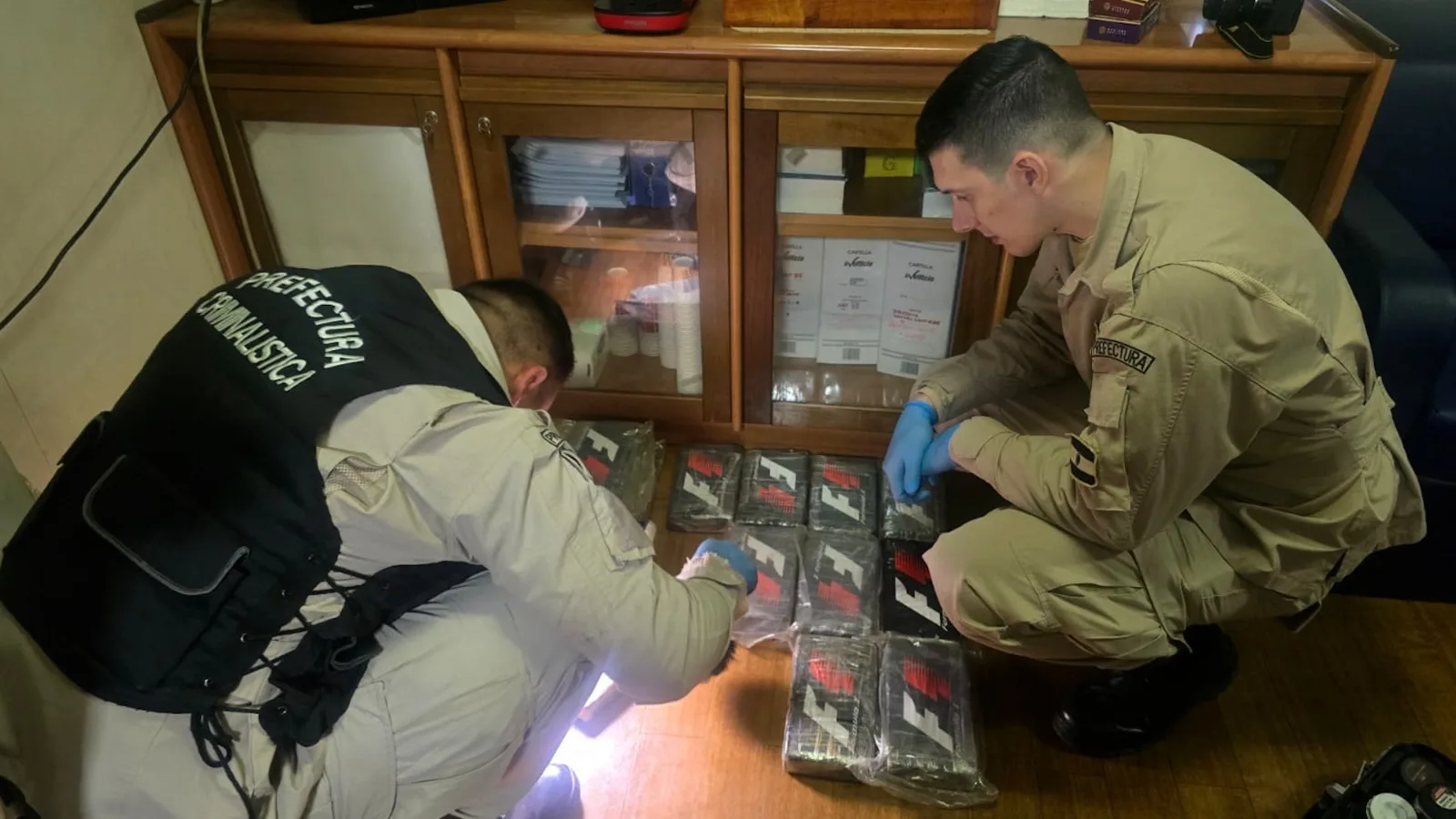 Prefectura y Arca decomisaron 16 kilos de cocaína en un buque de bandera italiana en Zárate