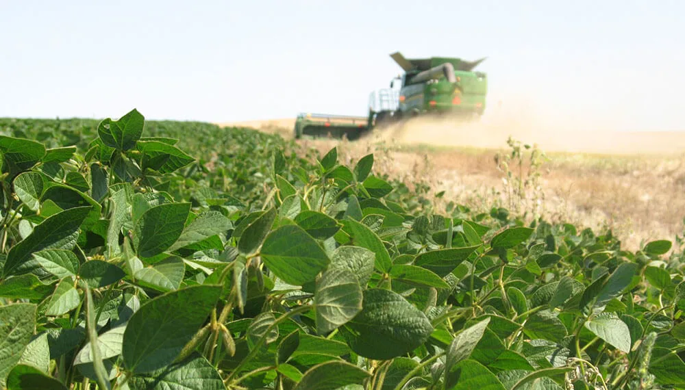Reducción de retenciones al agro puede generar hasta US$ 200 millones para Córdoba