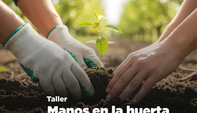 Taller gratuito sobre cultivo de hortalizas para celebrar el Día Mundial del Ambiente