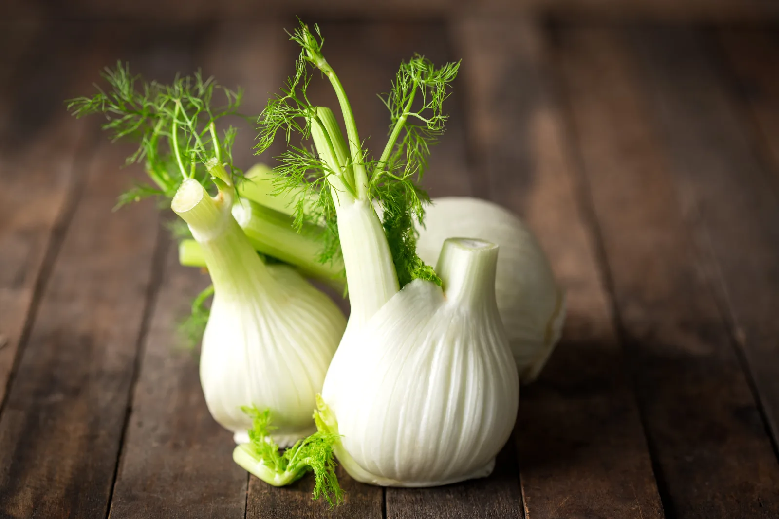 El hinojo se destaca como alimento natural para la depuración y salud digestiva