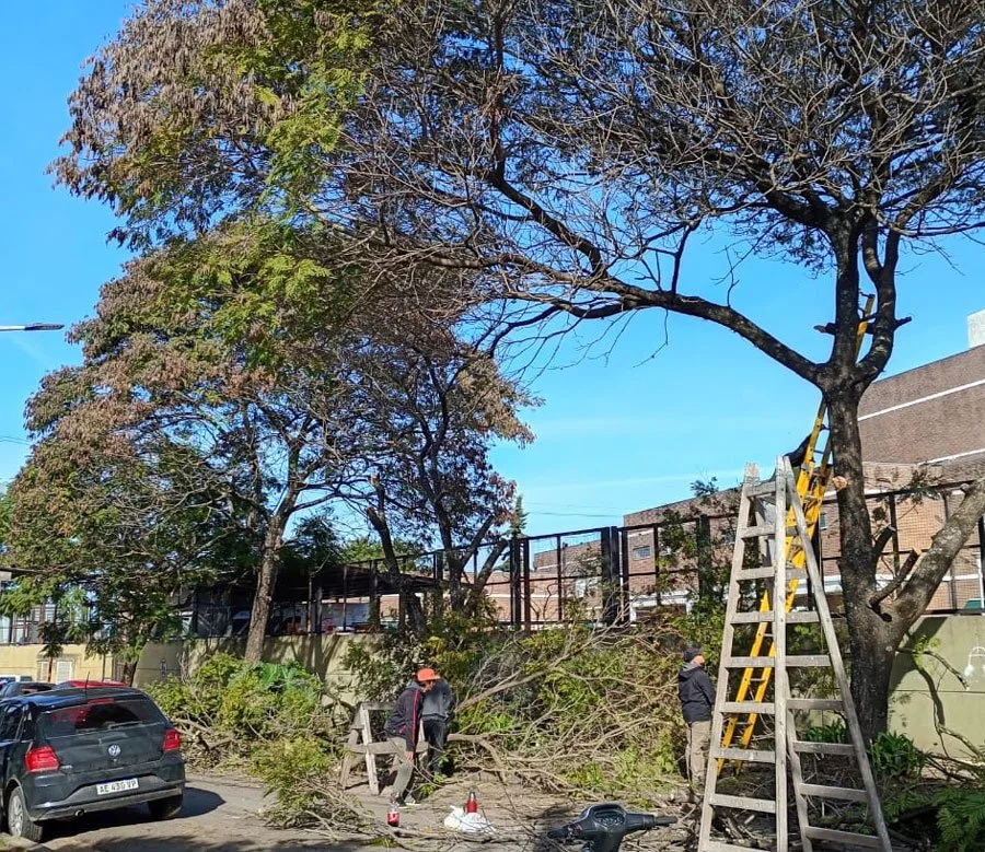 Vecinos piden aclaraciones por poda severa en árboles históricos del hospital público