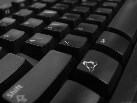 Cómo funcionan realmente las billeteras de criptomonedas y qué limitaciones tienen