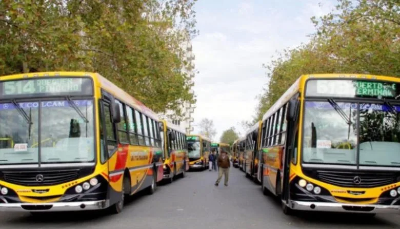 Continúa la suspensión de las líneas 502 y 503 mientras Los Azules retoman el servicio