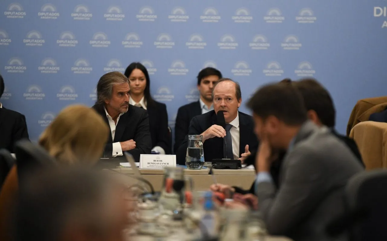Diputados cuestionan la veracidad del informe sobre el Régimen de Incentivo a Grandes Inversiones