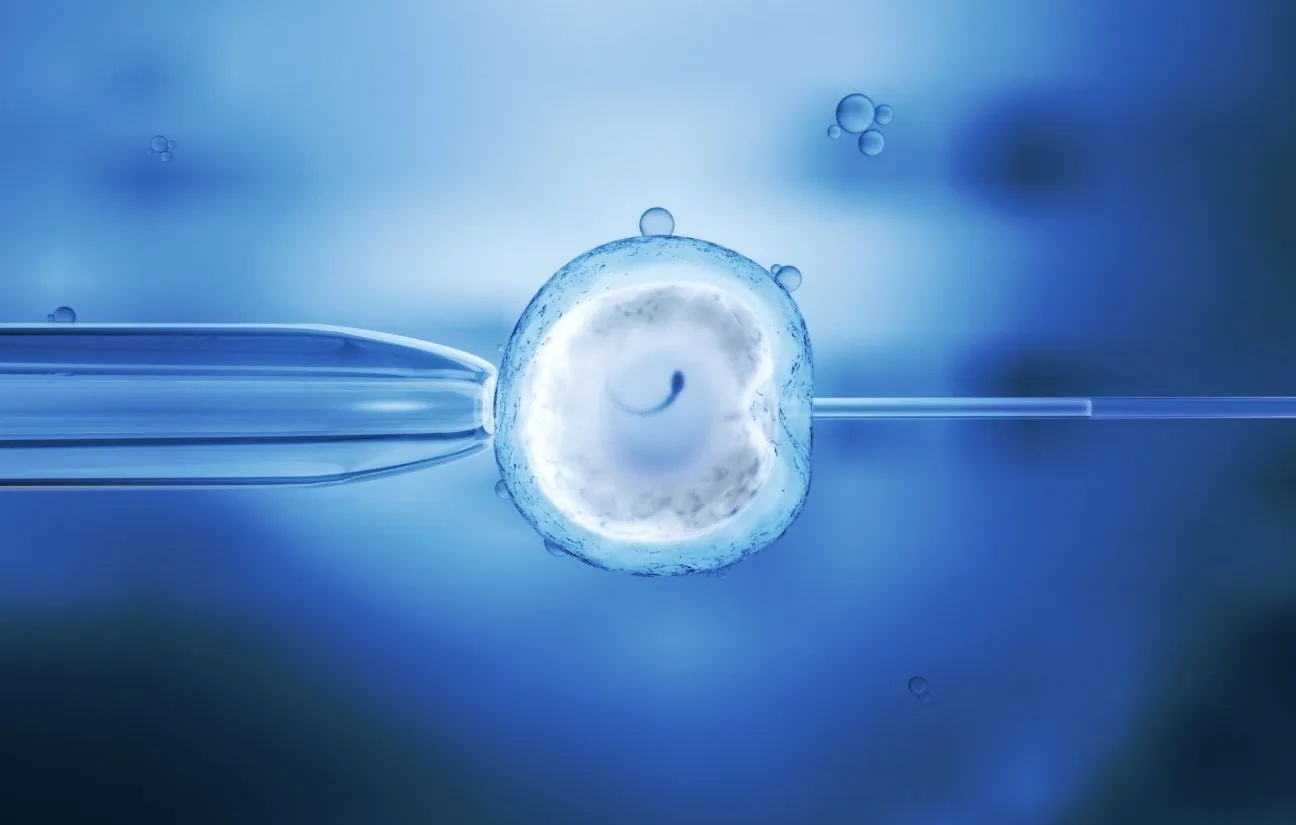 Francia limita el diagnóstico genético embrionario y afecta a pacientes de reproducción asistida