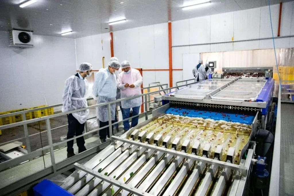 La Agencia de Desarrollo Económico de Río Negro apoyó 370 proyectos productivos en un año