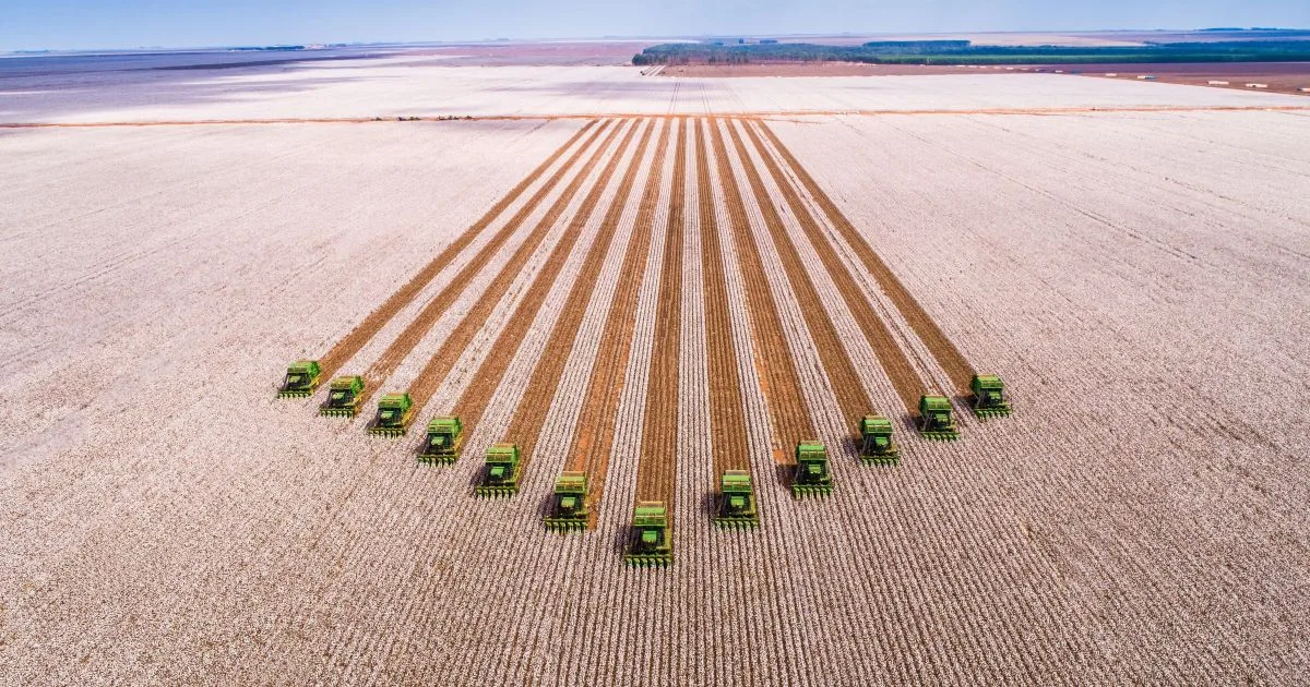 La cartera de tierras de SLC Agrícola alcanza un valor de R$ 13,5 mil millones según Deloitte