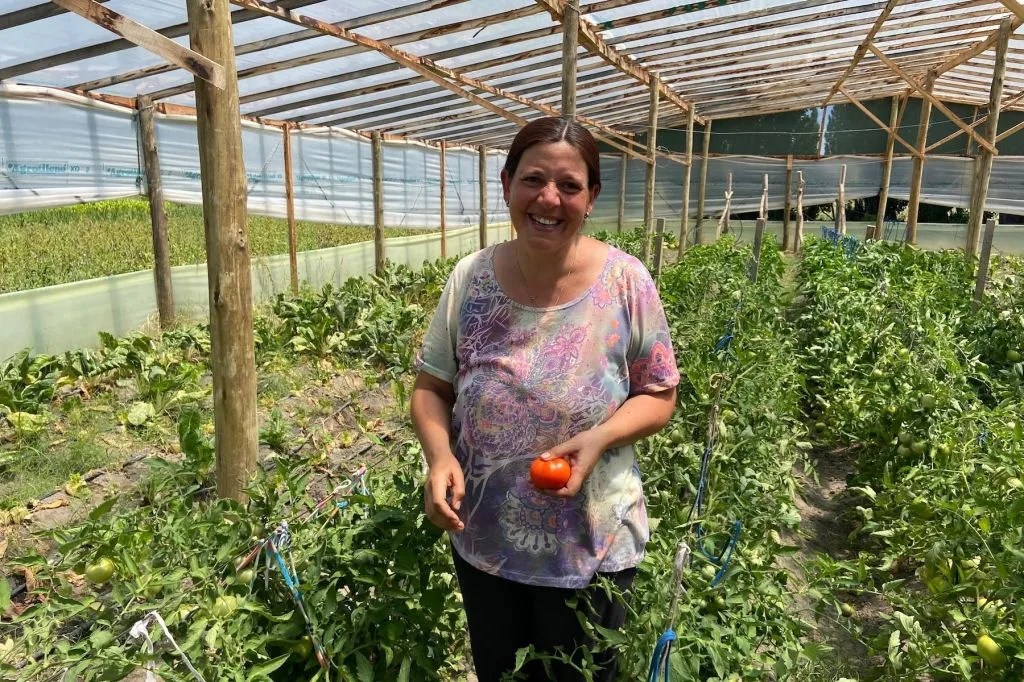 La Patagonia amplía su red de invernaderos e impulsa la hidroponía para producir verduras todo el año