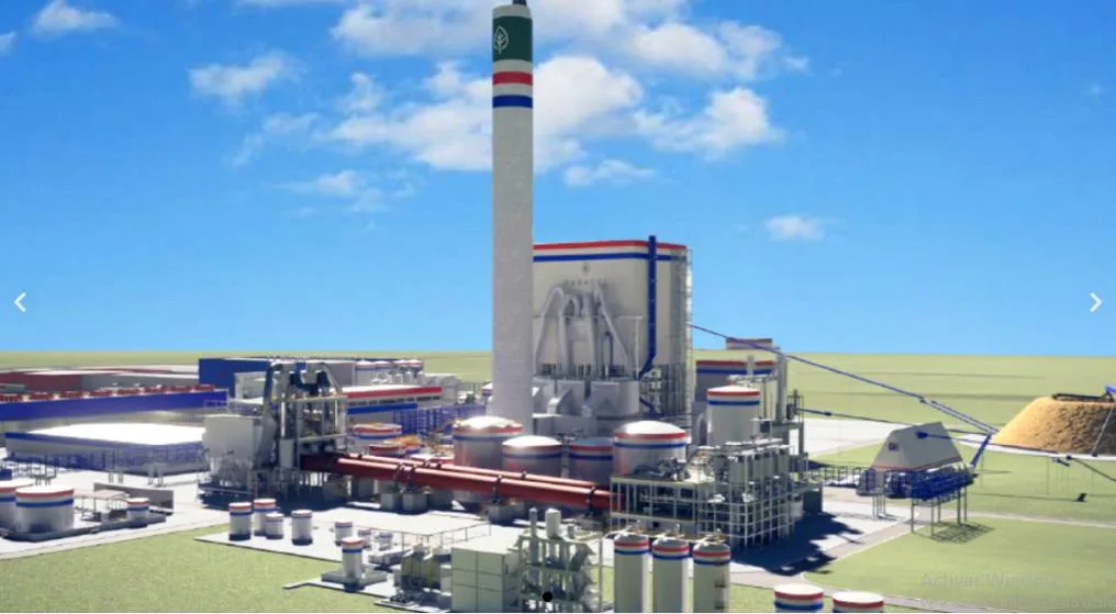 Paracel proyecta iniciar producción de celulosa en Paraguay para 2030 tras asegurar financiamiento
