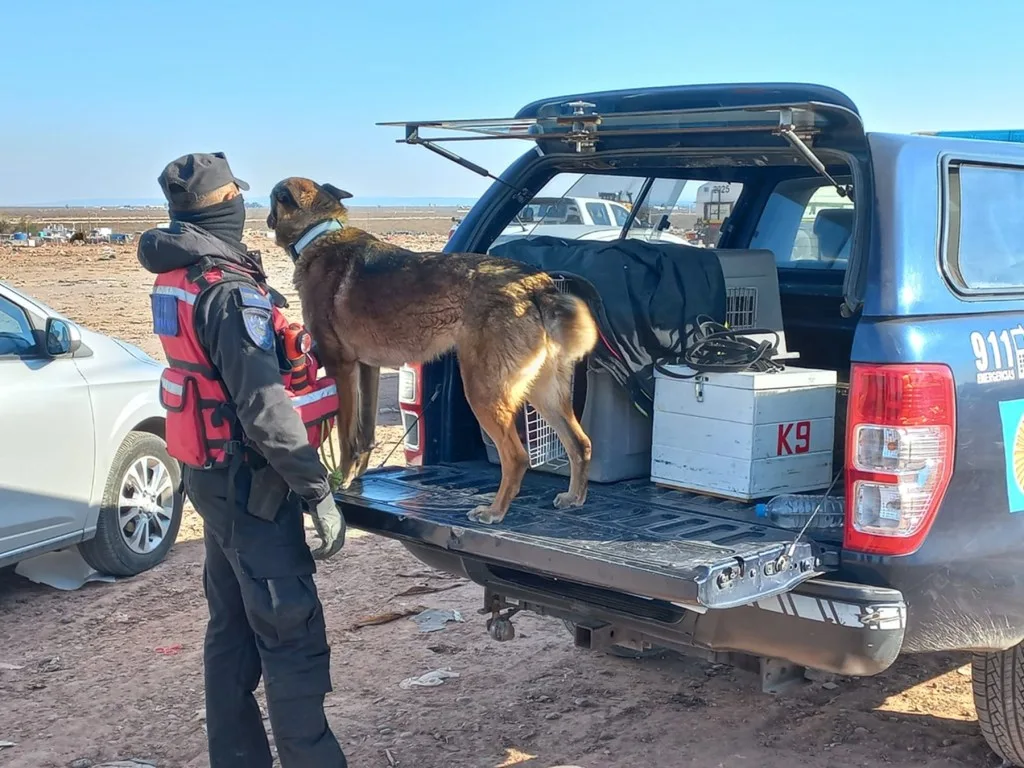 Perro especializado de la Policía Federal se suma a la búsqueda de Manlio Martínez en Neuquén