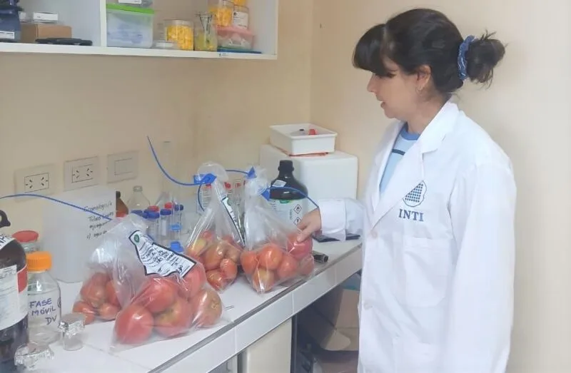Refuerzan controles a operadores hortícolas en el Mercado Central para asegurar la calidad