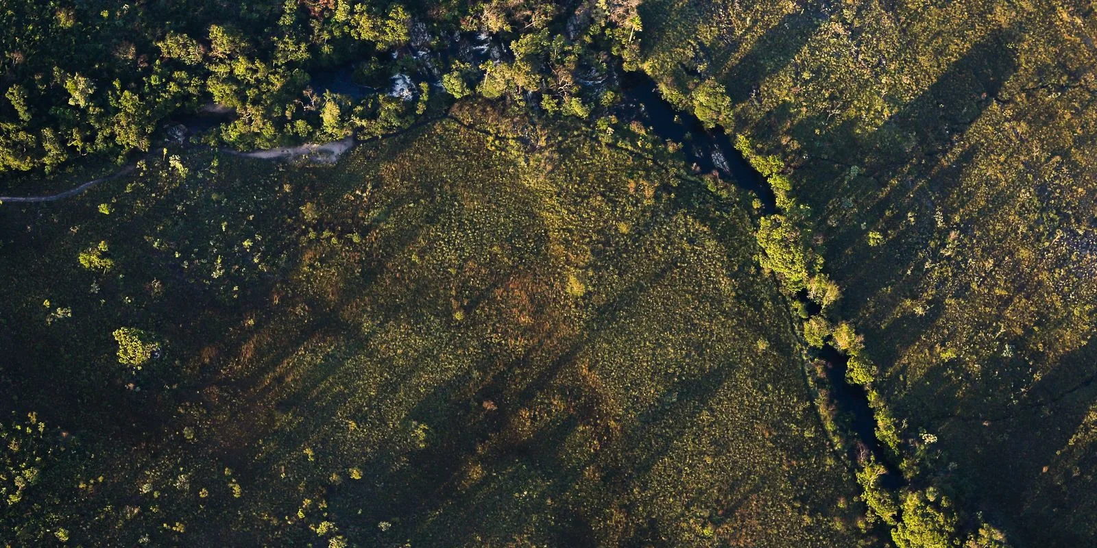 Bajarán las tasas de interés para financiar proyectos rurales sostenibles en regiones del país