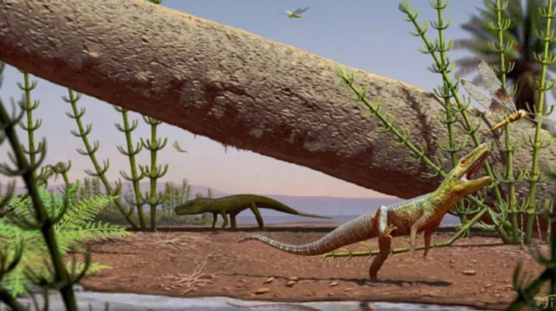 Descubren en Brasil un reptil fósil clave para entender la evolución del Triásico