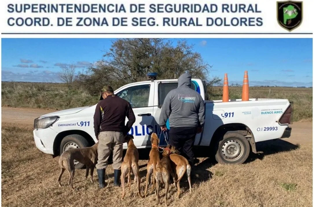 Detienen a cinco hombres cazando con galgos en dos operativos en Chascomús