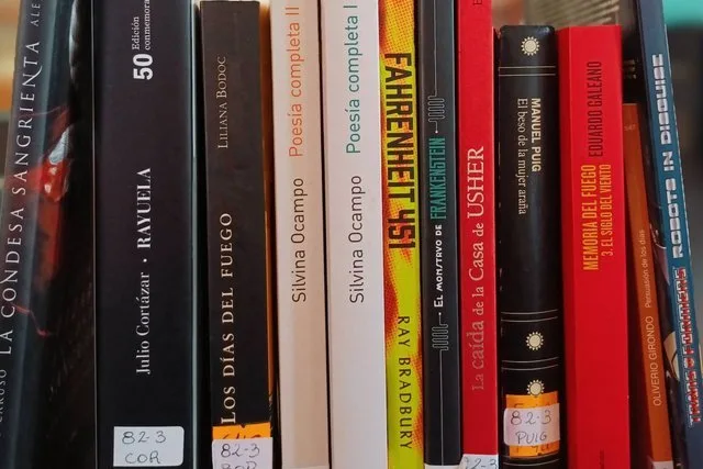 La Biblioteca Provincial de Entre Ríos impulsa donación de libros para ampliar su colección