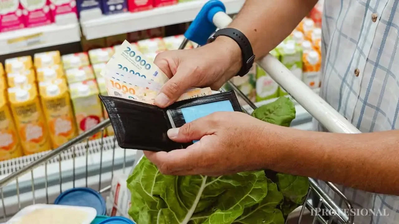 La Canasta Básica y el ingreso necesario para evitar la pobreza aumentaron en junio según el INDEC