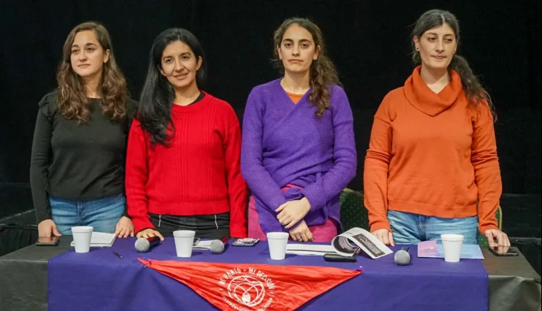 Presentan informe sobre parto respetado y derechos humanos en Tierra del Fuego