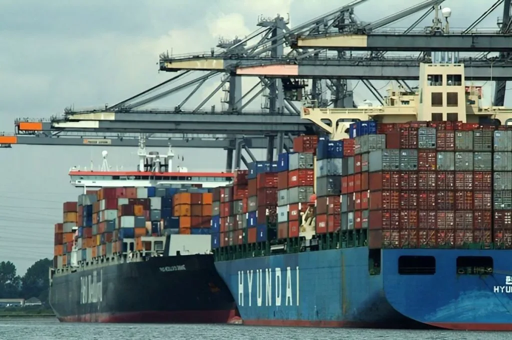 La Norpatagonia impulsa su protagonismo exportador en jornada de comercio exterior en Neuquén