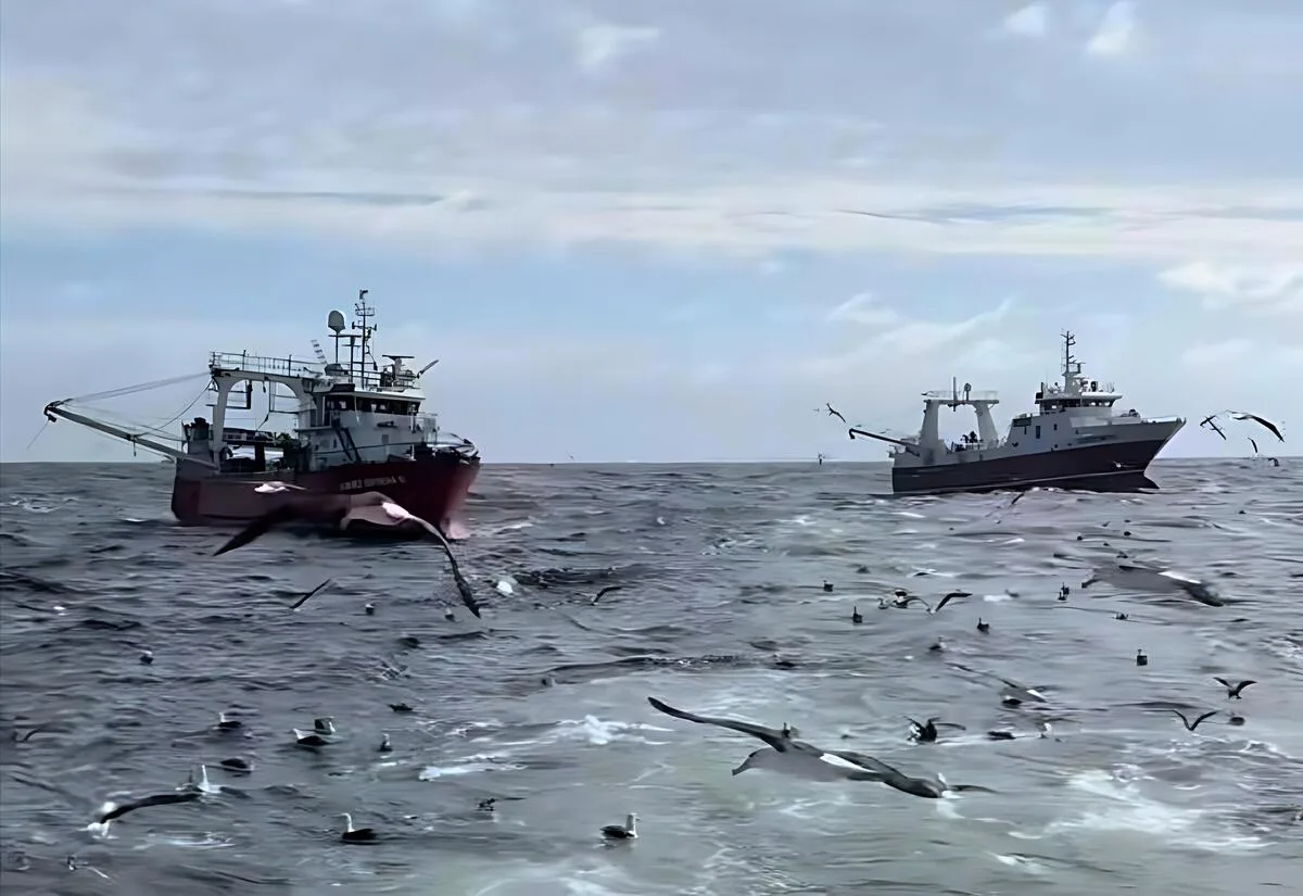 La Subárea 7 finalizó la prospección de langostino y la Subárea 9 quedó sin evaluación
