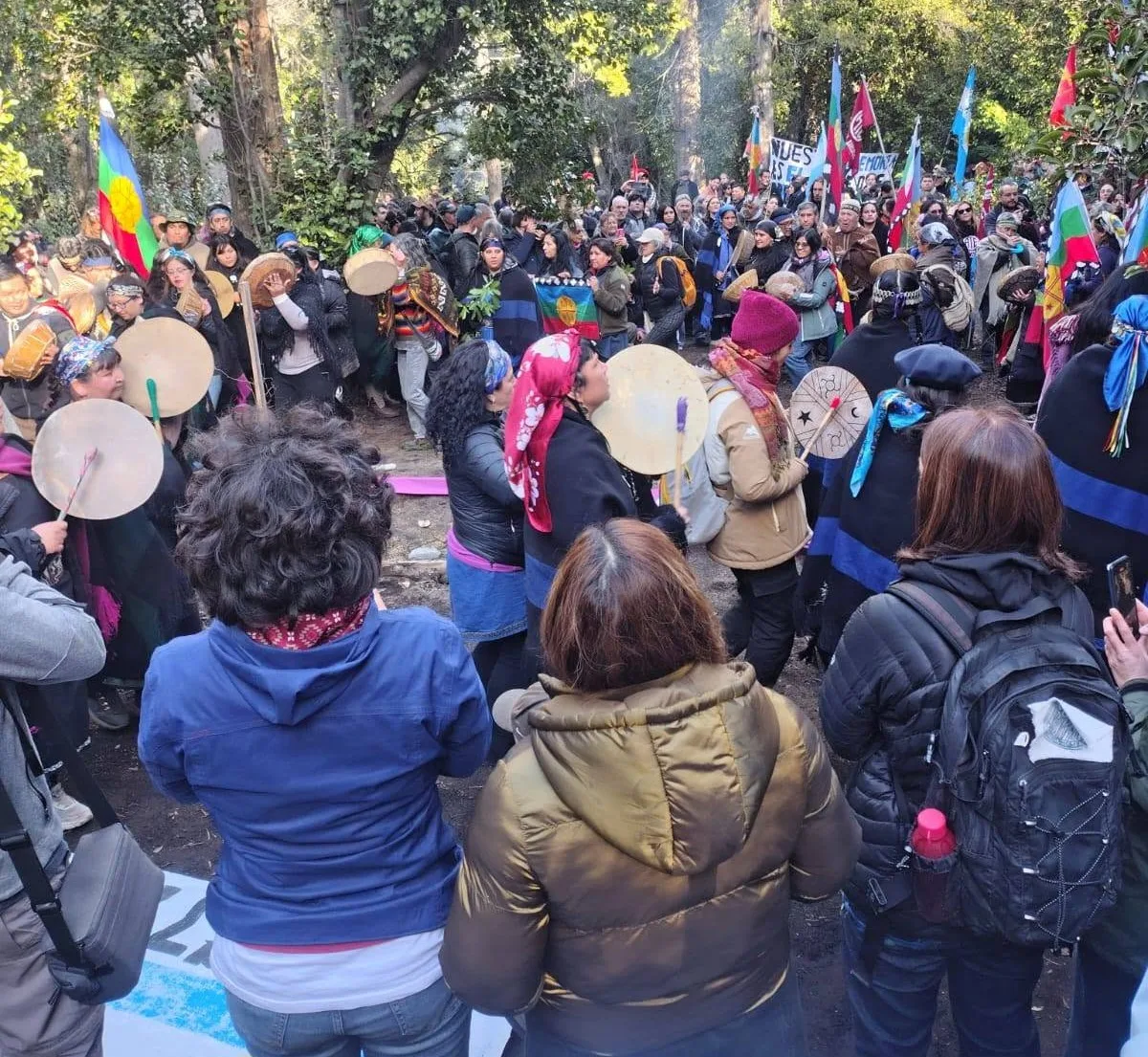 Más de 500 personas acompañaron a comunidades mapuches en resistencia por tierras en Paso Coihue