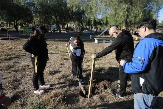 Jornada de forestación en Plaza Sarmiento para fortalecer el arbolado público