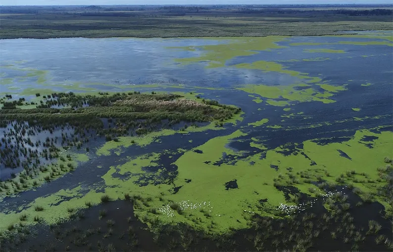 La Provincia establece controles y registro para uso de tierras públicas en las islas