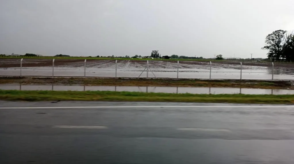 Tres provincias lanzan sistema conjunto para anticipar eventos climáticos extremos en zonas productivas